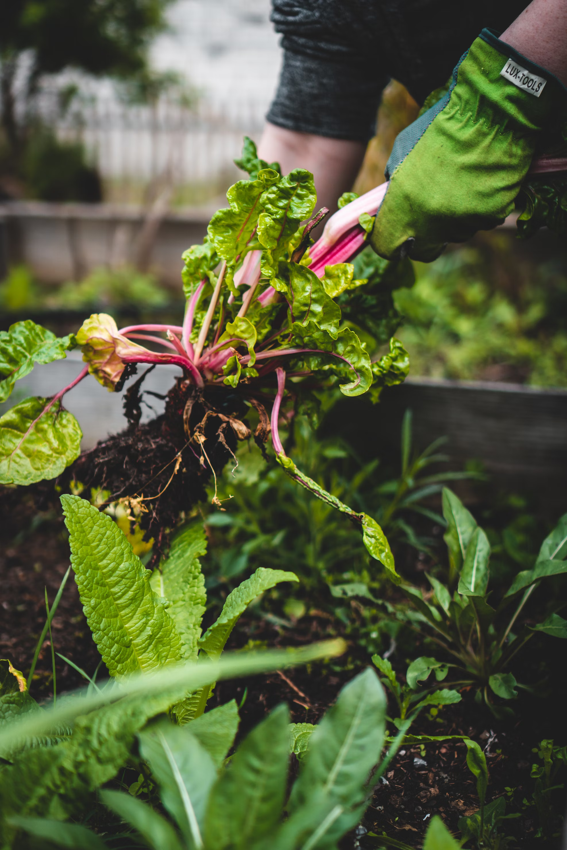 Farm Produce